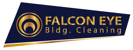 Falcon Eye Service